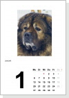 Kalender Nr. 1