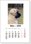 Kalender Nr. 1