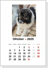 Kalender Nr. 1